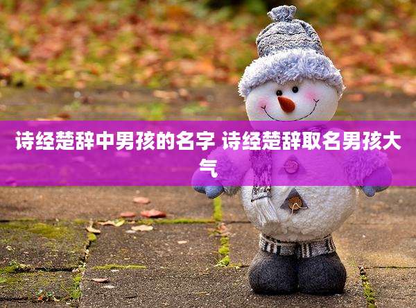 诗经楚辞中男孩的名字 诗经楚辞取名男孩大气