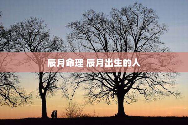 辰月命理 辰月出生的人