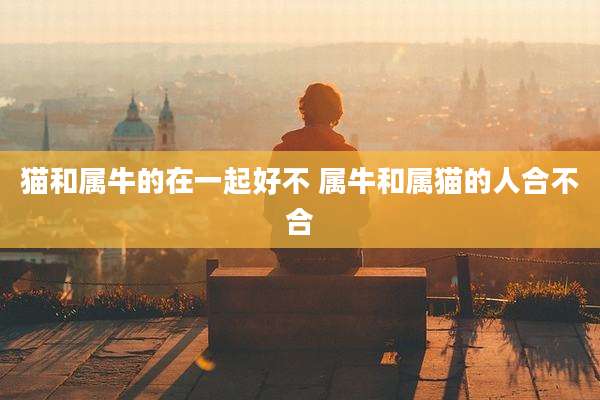 猫和属牛的在一起好不 属牛和属猫的人合不合
