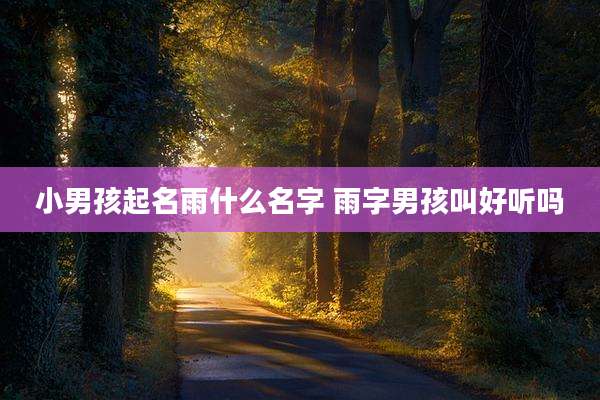 小男孩起名雨什么名字 雨字男孩叫好听吗