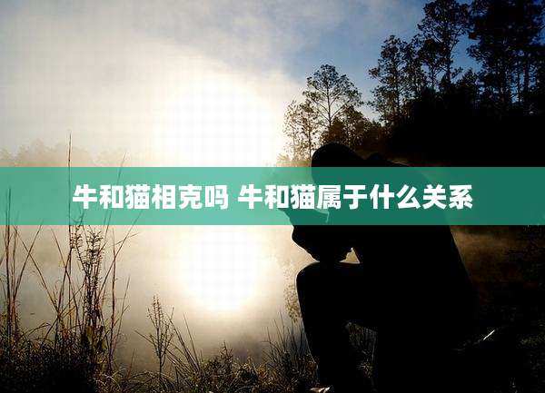 牛和猫相克吗 牛和猫属于什么关系