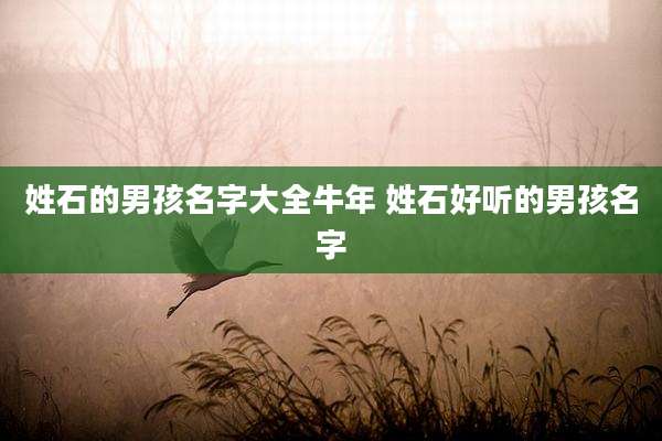 姓石的男孩名字大全牛年 姓石好听的男孩名字