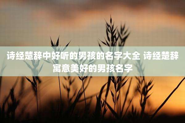 诗经楚辞中好听的男孩的名字大全 诗经楚辞寓意美好的男孩名字