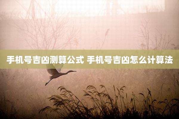 手机号吉凶测算公式 手机号吉凶怎么计算法