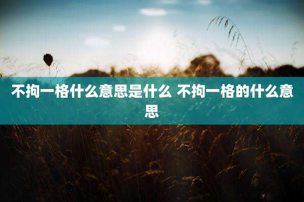 不拘一格什么意思是什么 不拘一格的什么意思