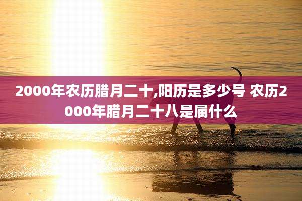 2000年农历腊月二十,阳历是多少号 农历2000年腊月二十八是属什么