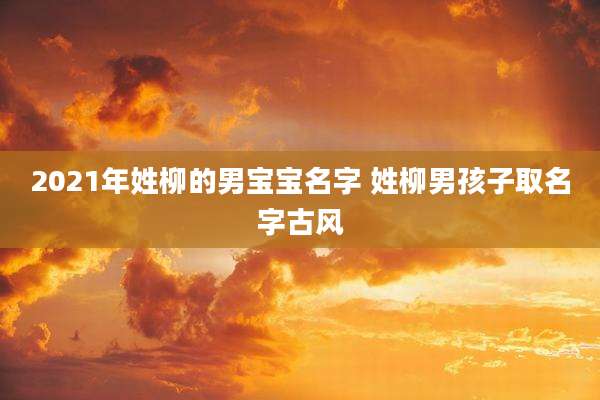 2021年姓柳的男宝宝名字 姓柳男孩子取名字古风