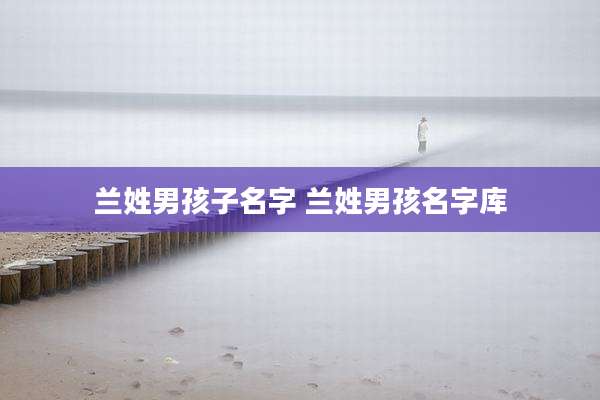 兰姓男孩子名字 兰姓男孩名字库