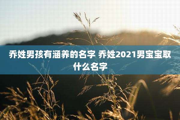 乔姓男孩有涵养的名字 乔姓2021男宝宝取什么名字