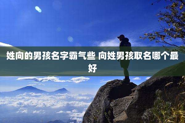 姓向的男孩名字霸气些 向姓男孩取名哪个最好