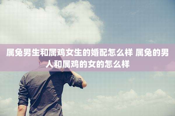 属兔男生和属鸡女生的婚配怎么样 属兔的男人和属鸡的女的怎么样