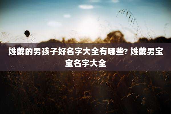 姓戴的男孩子好名字大全有哪些? 姓戴男宝宝名字大全