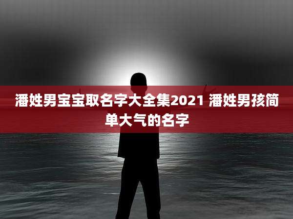 潘姓男宝宝取名字大全集2021 潘姓男孩简单大气的名字