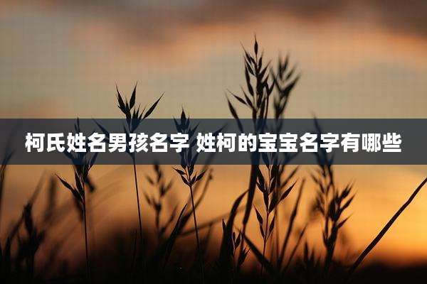 柯氏姓名男孩名字 姓柯的宝宝名字有哪些