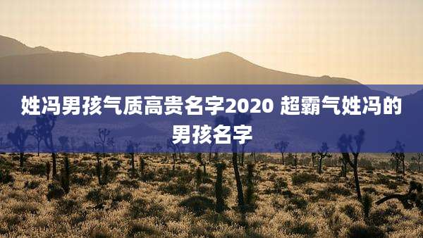 姓冯男孩气质高贵名字2020 超霸气姓冯的男孩名字