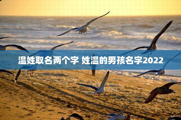 温姓取名两个字 姓温的男孩名字2022