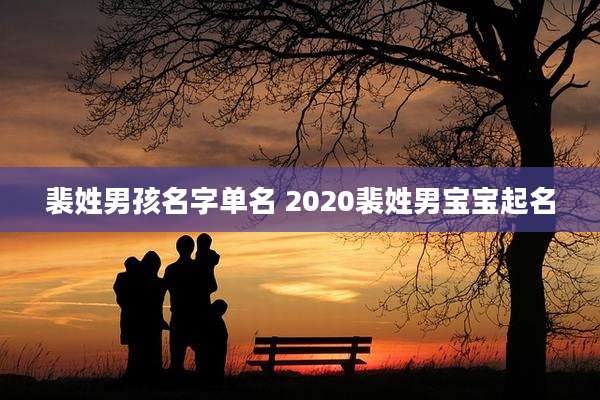 裴姓男孩名字单名 2020裴姓男宝宝起名