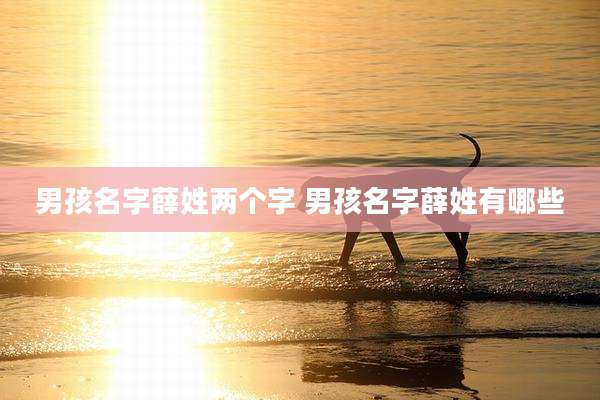 男孩名字薛姓两个字 男孩名字薛姓有哪些