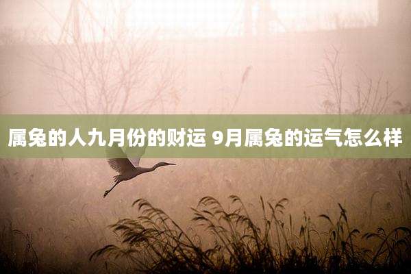 属兔的人九月份的财运 9月属兔的运气怎么样