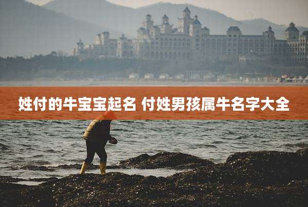 姓付的牛宝宝起名 付姓男孩属牛名字大全