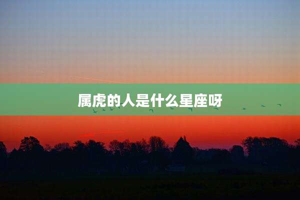 属虎的人是什么星座呀