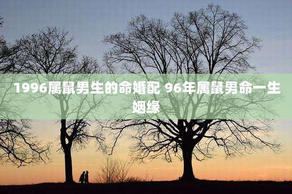 1996属鼠男生的命婚配 96年属鼠男命一生姻缘
