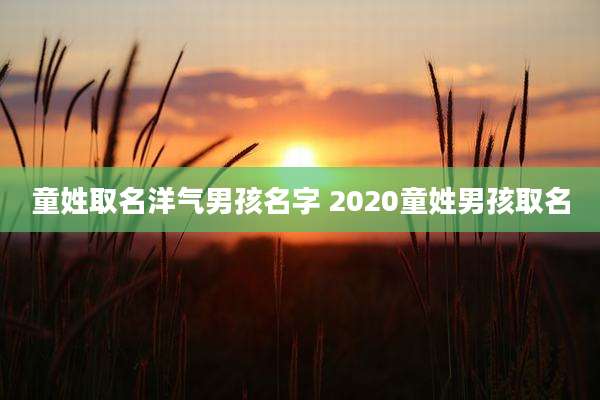 童姓取名洋气男孩名字 2020童姓男孩取名