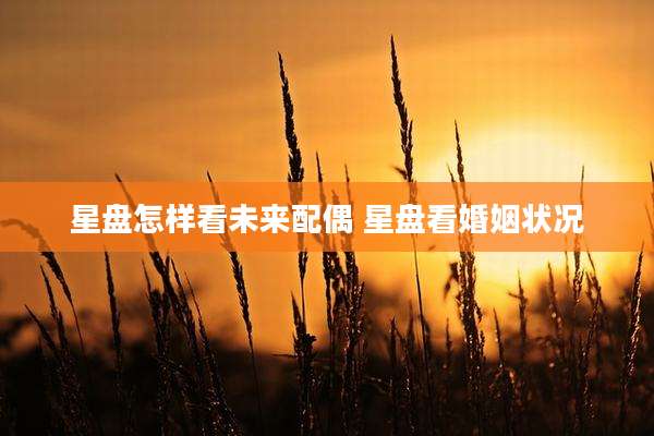 星盘怎样看未来配偶 星盘看婚姻状况