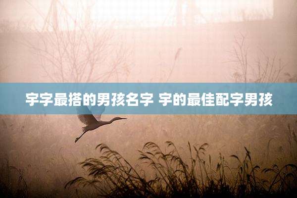 宇字最搭的男孩名字 宇的最佳配字男孩