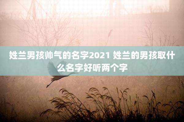 姓兰男孩帅气的名字2021 姓兰的男孩取什么名字好听两个字