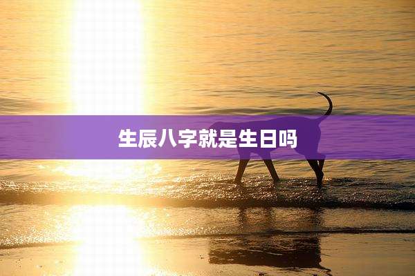 生辰八字就是生日吗