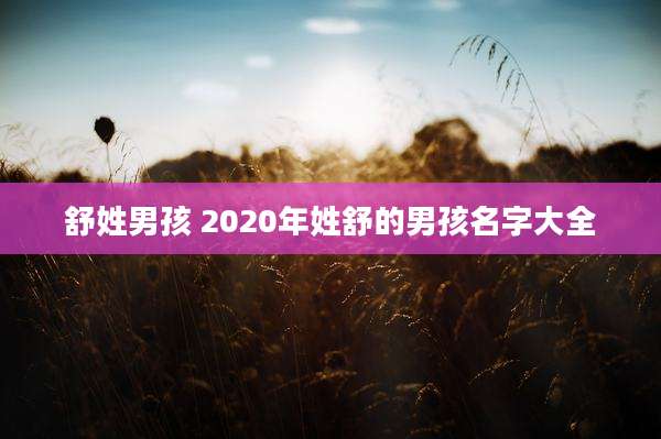 舒姓男孩 2020年姓舒的男孩名字大全