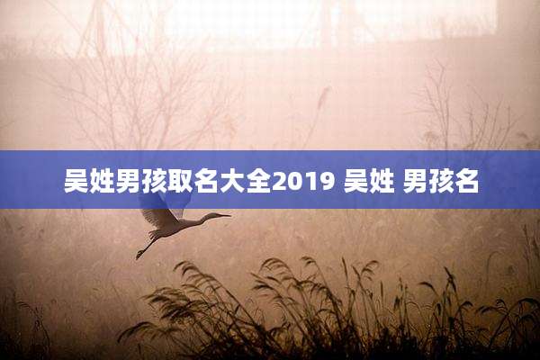 吴姓男孩取名大全2019 吴姓 男孩名