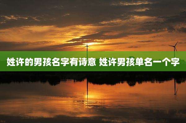 姓许的男孩名字有诗意 姓许男孩单名一个字