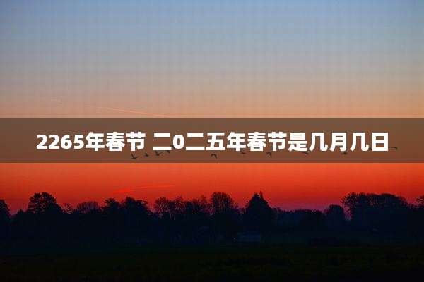 2265年春节 二0二五年春节是几月几日