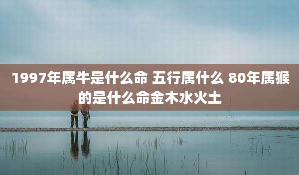 1997年属牛是什么命 五行属什么 80年属猴的是什么命金木水火土