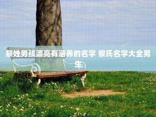 黎姓男孩漂亮有涵养的名字 黎氏名字大全男生