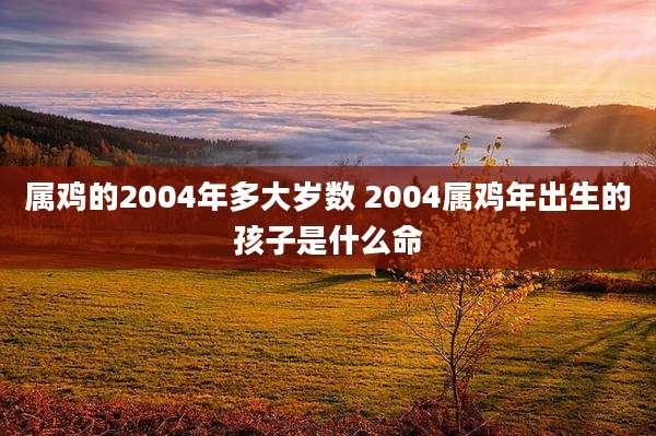 属鸡的2004年多大岁数 2004属鸡年出生的孩子是什么命