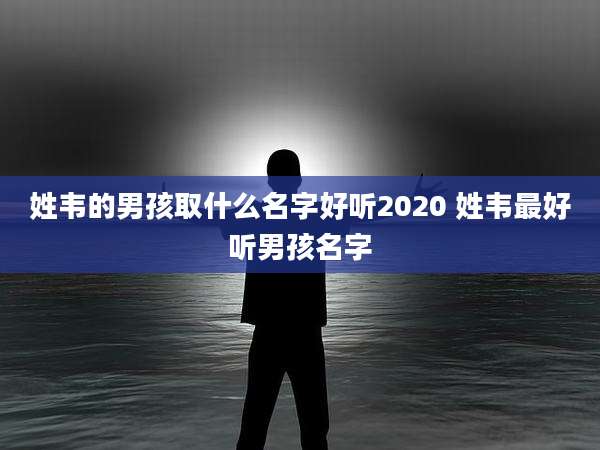 姓韦的男孩取什么名字好听2020 姓韦最好听男孩名字