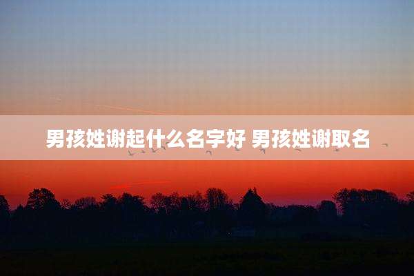 男孩姓谢起什么名字好 男孩姓谢取名