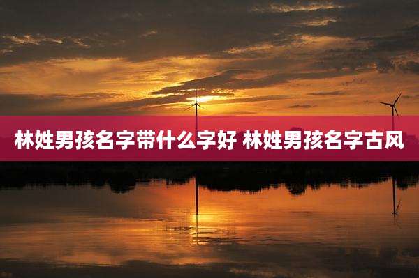 林姓男孩名字带什么字好 林姓男孩名字古风