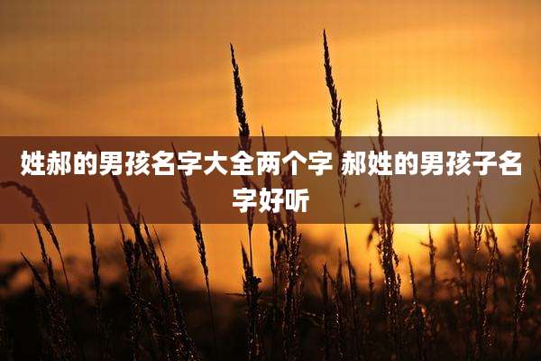 姓郝的男孩名字大全两个字 郝姓的男孩子名字好听