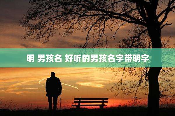 明 男孩名 好听的男孩名字带明字