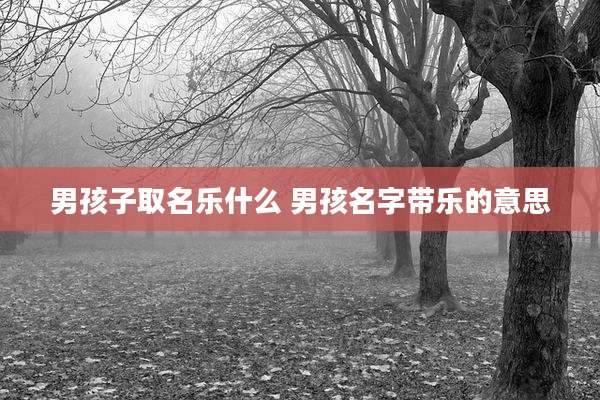 男孩子取名乐什么 男孩名字带乐的意思