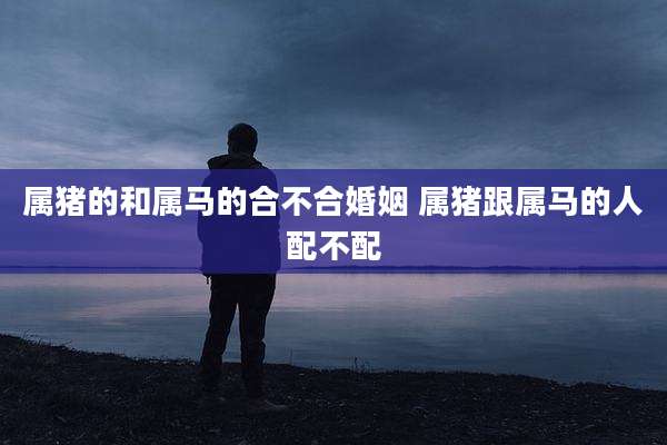 属猪的和属马的合不合婚姻 属猪跟属马的人配不配