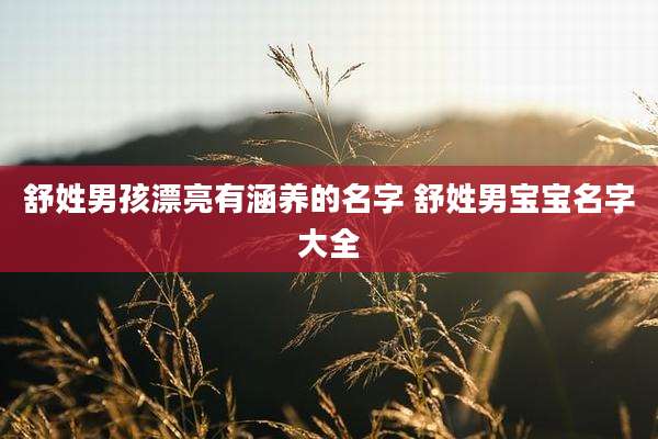 舒姓男孩漂亮有涵养的名字 舒姓男宝宝名字大全