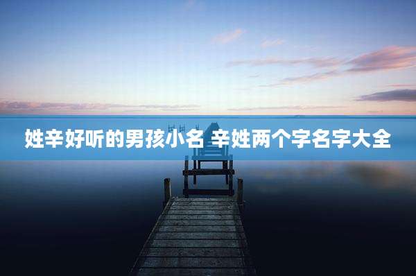姓辛好听的男孩小名 辛姓两个字名字大全