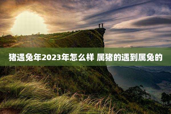 猪遇兔年2023年怎么样 属猪的遇到属兔的