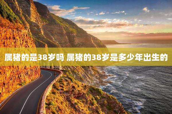 属猪的是38岁吗 属猪的38岁是多少年出生的
