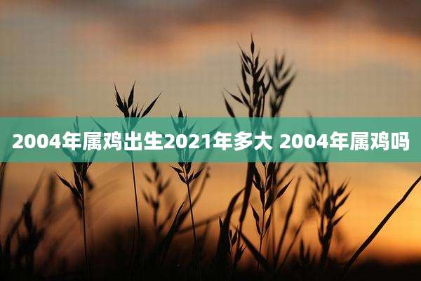 2004年属鸡出生2021年多大 2004年属鸡吗